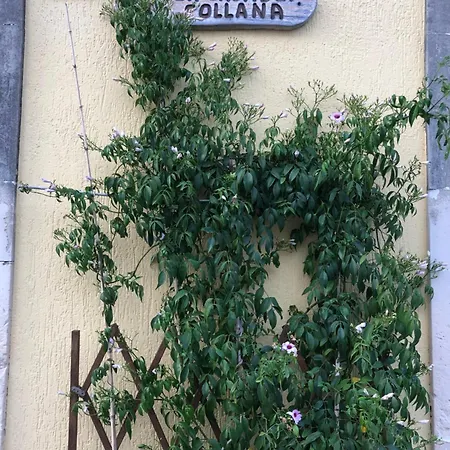 דירה La Casa Dei Collana Serrano